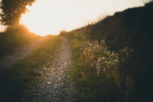 Hike trail in Austin, TX