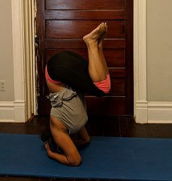 Jasmine B photo 3