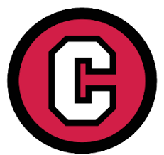 c logo icon